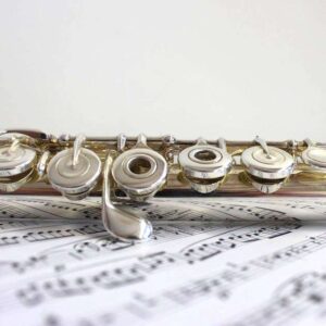 Flute rental from Musicular